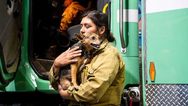 PHOTO: Firefighter Joanna Jimenez holds a dog she found wandering in a fire evacuation zone as the Oak Fire burns in Mariposa County, Calif., July 23, 2022.   (Noah Berger/AP)