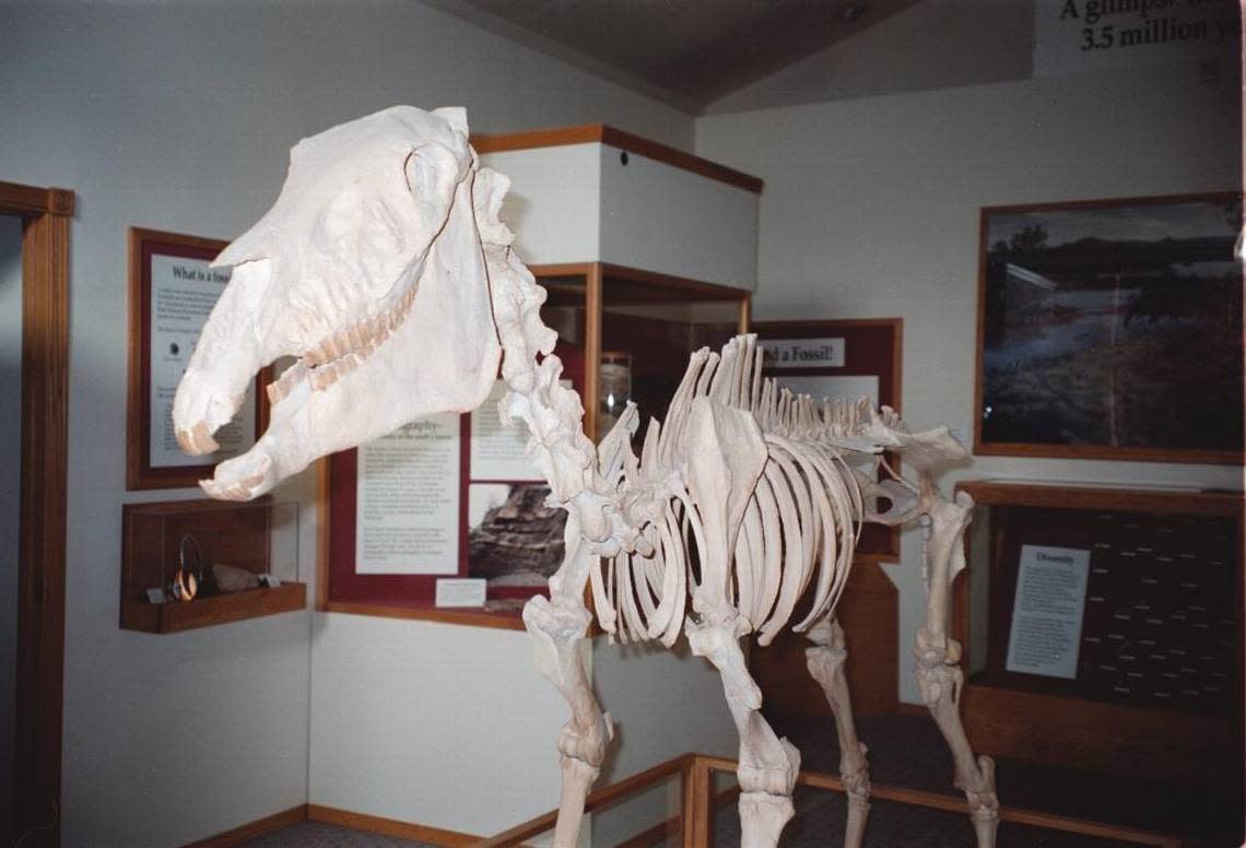 The collection of Hagerman Horse fossils in Idaho is the largest collection of the species found in the world.