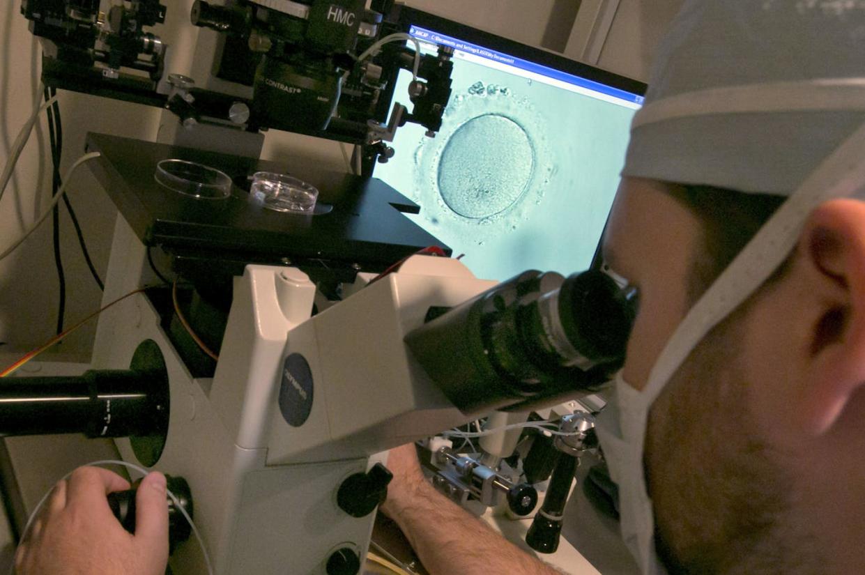 An embryologist uses a microscope to view an embryo, visible on a monitor. <a href="https://newsroom.ap.org/detail/AlabamaFrozenEmbryos/e6f3454e8ba144ccadc7e0a21532fb6c/photo?Query=alabama%20supreme%20court&mediaType=photo&sortBy=arrivaldatetime:desc&dateRange=Anytime&totalCount=508&currentItemNo=22" rel="nofollow noopener" target="_blank" data-ylk="slk:AP Photo/Richard Drew, File;elm:context_link;itc:0;sec:content-canvas" class="link ">AP Photo/Richard Drew, File</a>