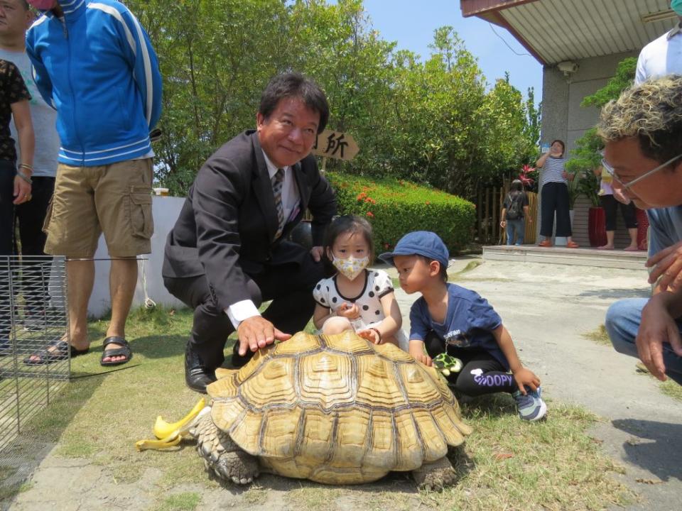 熱愛動物的議員郭信良飼養大型象龜，因每年生育許多小象龜，交由親友認養，特地舉辦「平安龜回娘家」活動。（記者林雪娟攝）