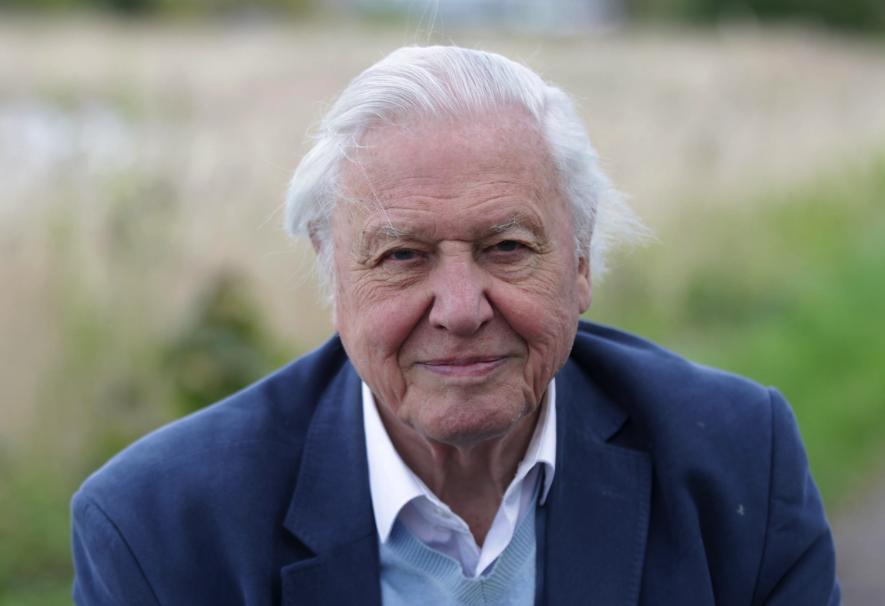 Sir David Attenborough in Planet Earth 2