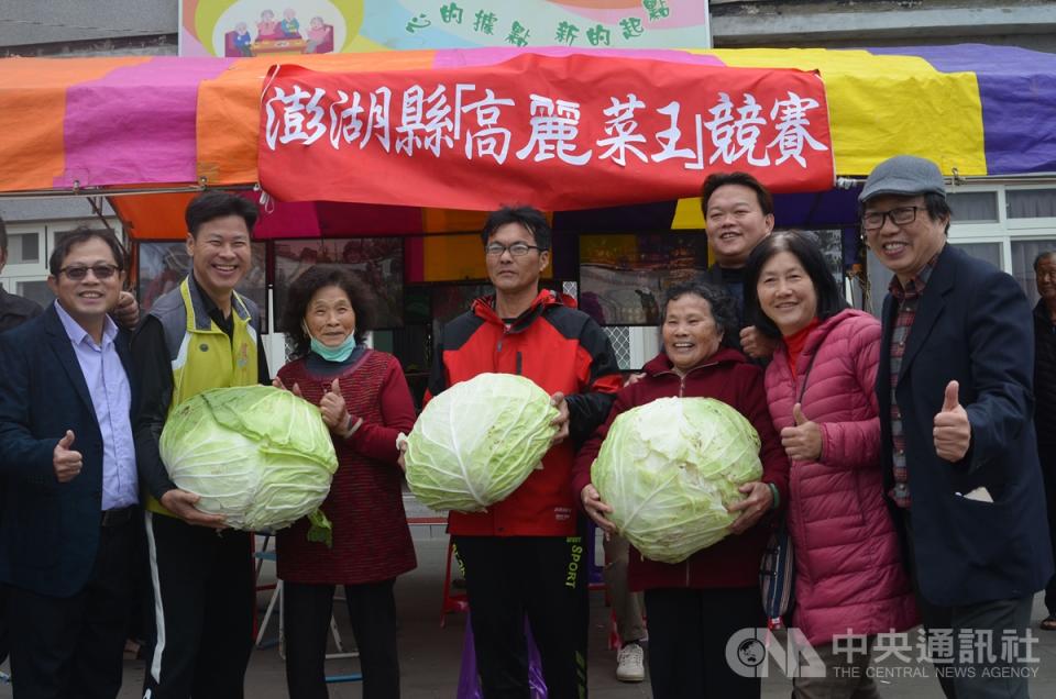 澎湖高麗菜王競賽，葉春伸種出一顆顆重達23斤的高麗菜，奪下「最大顆」和「最重」的雙料冠軍。（中央社）