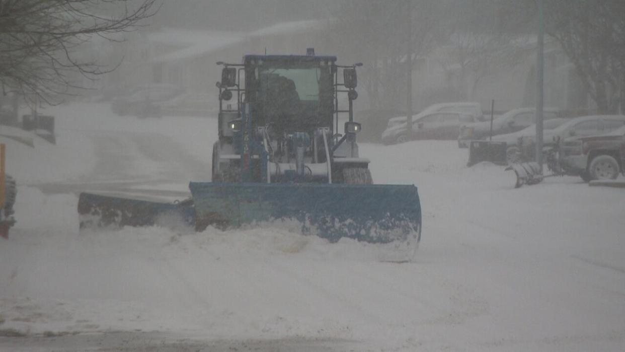 Mount Pearl has replaced most of its fleet of snow-clearing equipment in recent years, and is now looking to name the machines.  (Darryl Murphy/CBC - image credit)