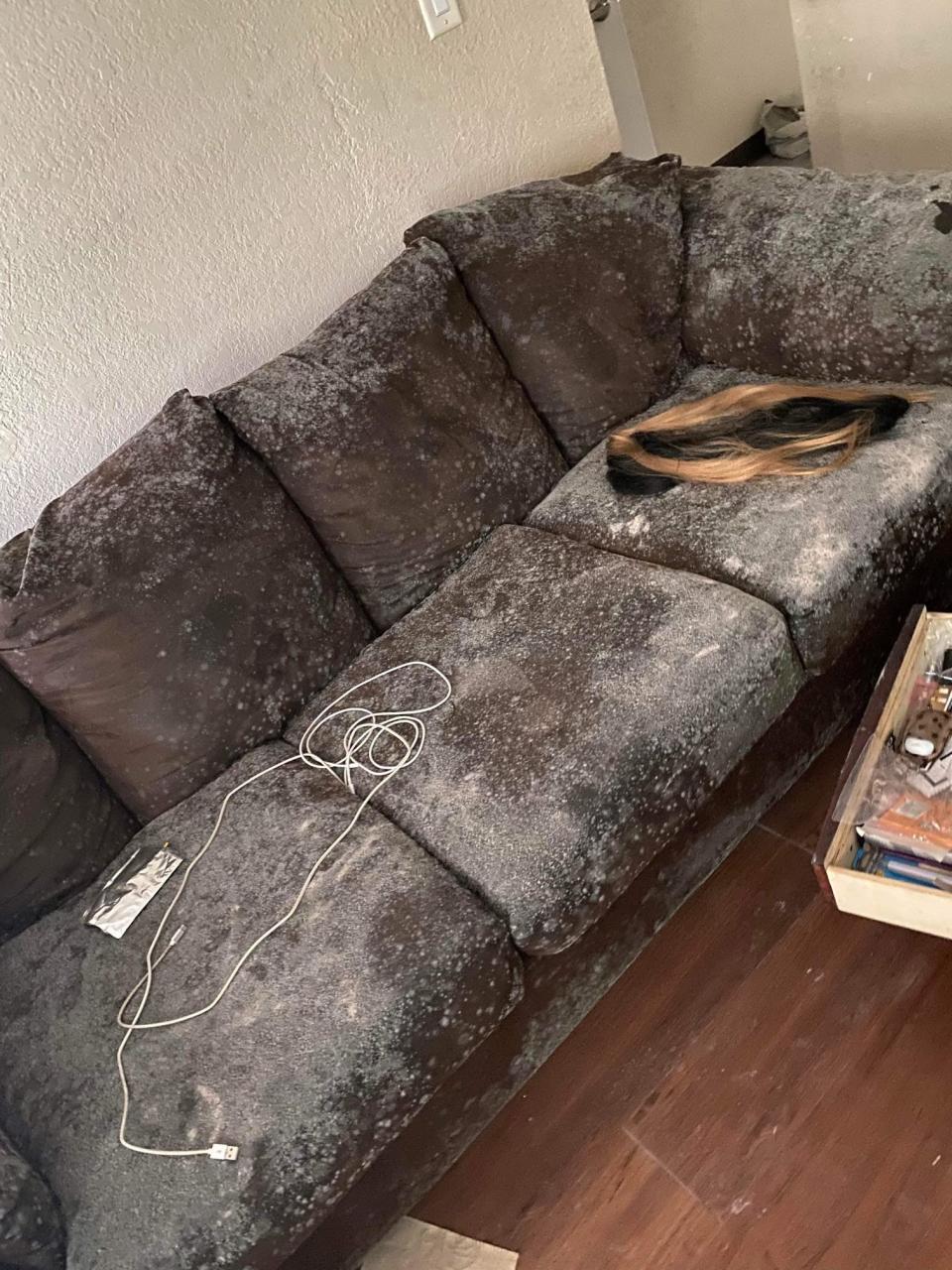 Alicia Harris said mold has taken over her furniture