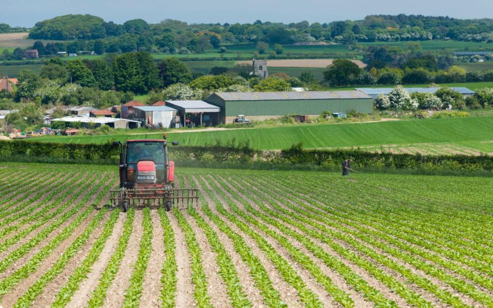 Farming - Loop Images/Universal Images Group via Getty Images