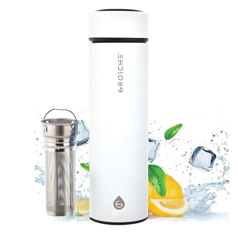 4) Groshce Chicago Fruit and Tea Infuser Water Bottle