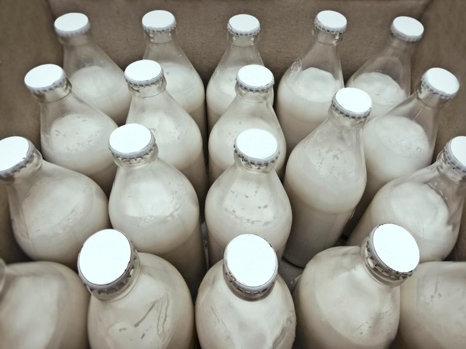 glass milk bottles