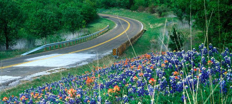 Cedar Hill State Park (Texas Parks and Wildlife Department photo)