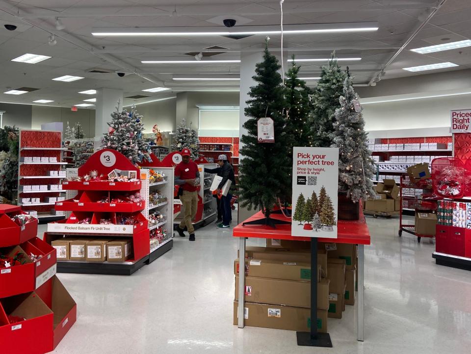 Christmas trees ready for purchase on October