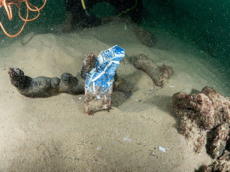 Divers are seen during the discovery of a centuries-old shipwreck, in Cascais in this handout photo released September 24, 2018. Augusto Salgado/Cascais City Hall/Handout via Reuters