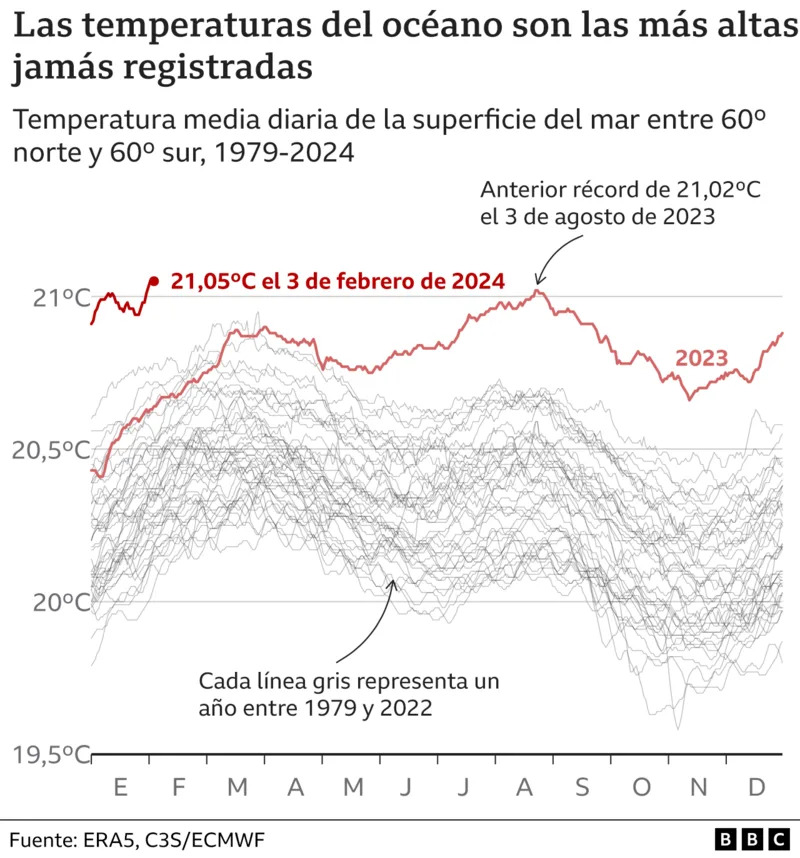 gráfico