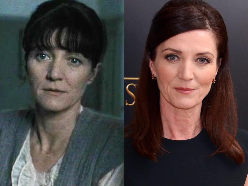 michelle fairley hermione granger mom