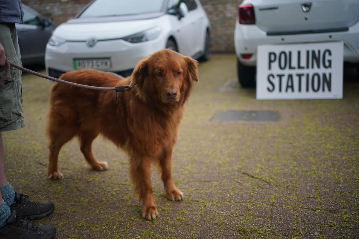 Cinna, an 8-year-old rescue dog from Greece, arrives with owners at the polling station at St Alban's Church, south London (Yui Mok/PA Wire)