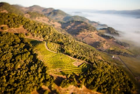 Napa Valley vineyards - Credit: GETTY