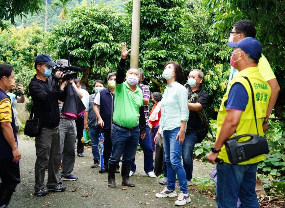 中部豪雨衝擊荔枝龍眼收成，農糧署及地方民代前往會勘。（記者黃俊昇攝）