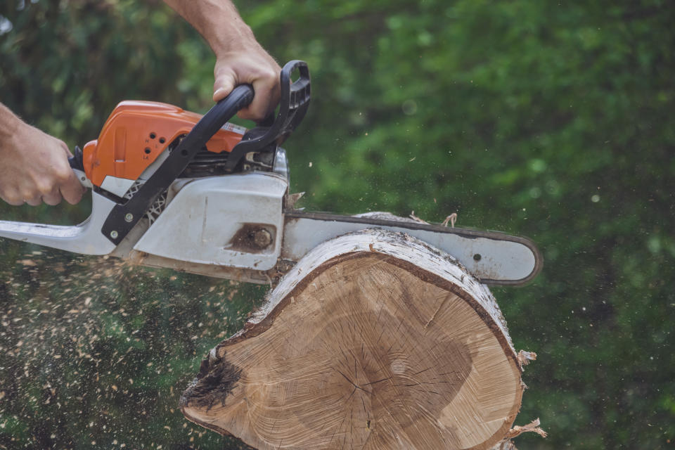 chainsaw, Seesii 4000+4000 mAh Mini Chainsaw Cordless 6 inch, Battery Chainsaw with Oiler System, Electric Chainsaw with 2 Chainsaw Chain and Guide Bar, Wood Saw/Tree Saw for Tree Trimming,CH600+