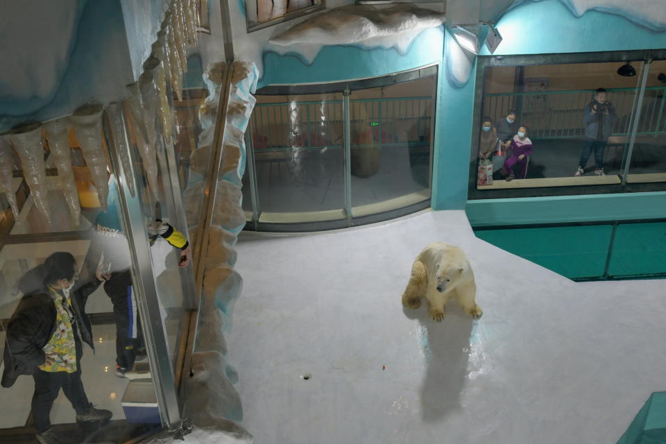 Il Polar Bear Hotel in Cina