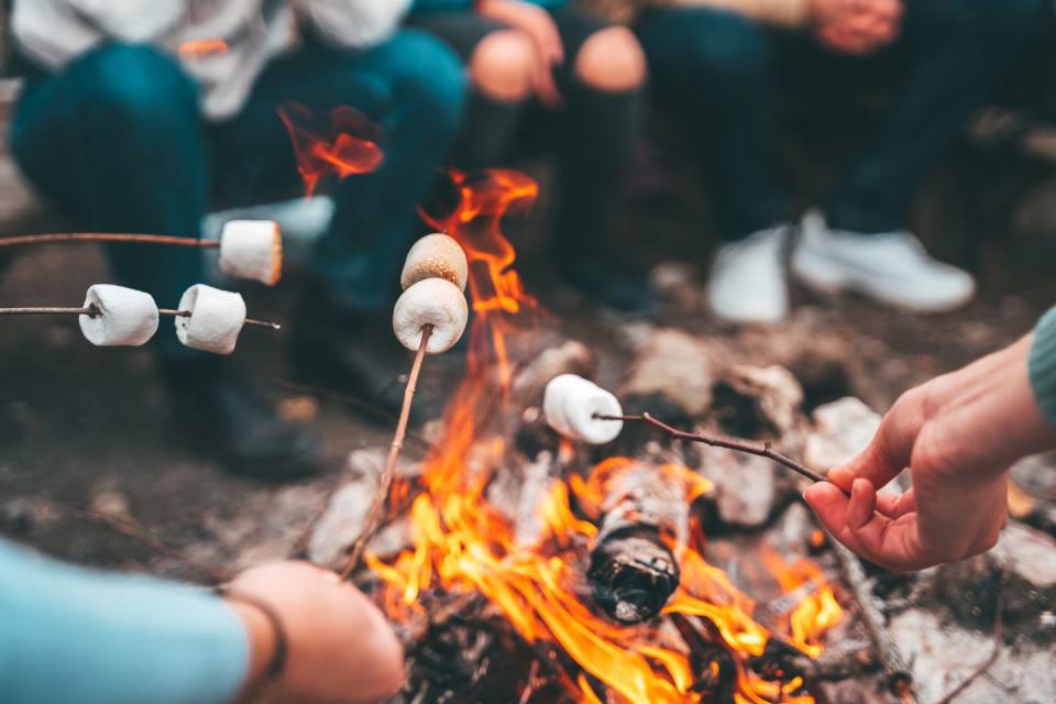 closeup of friends roasting marshmallows over the bonfire