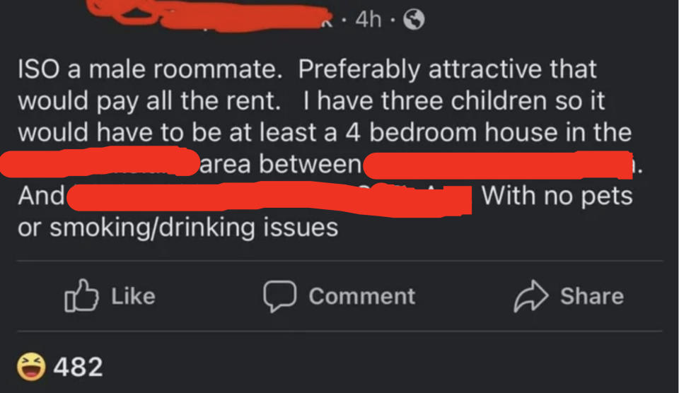 "ISO a male roommate, preferably attractive that would pay all the rent; I have three children so it would have to be at least a 4 BR house" and "no pets or smoking/drinking issues"