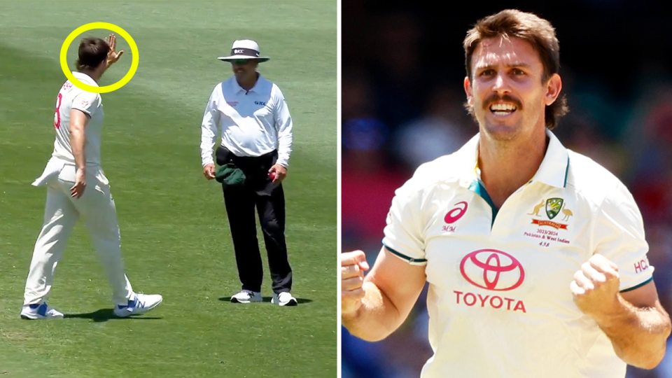 Mitch Marsh celebrates and Marsh celebrates a wicket.