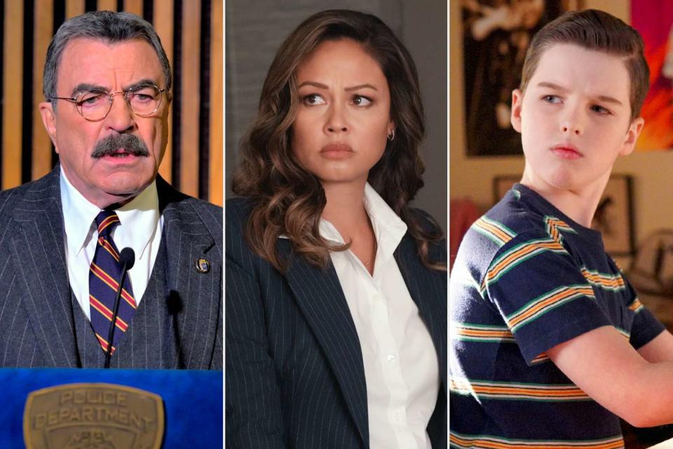 <p>John Paul Filo/CBS via Getty Images; Karen Neal/CBS via Getty Images; Bill Inoshita/CBS via Getty Images</p> Tom Selleck on Blue Bloods, Vanessa Lachey on NCIS: Hawai