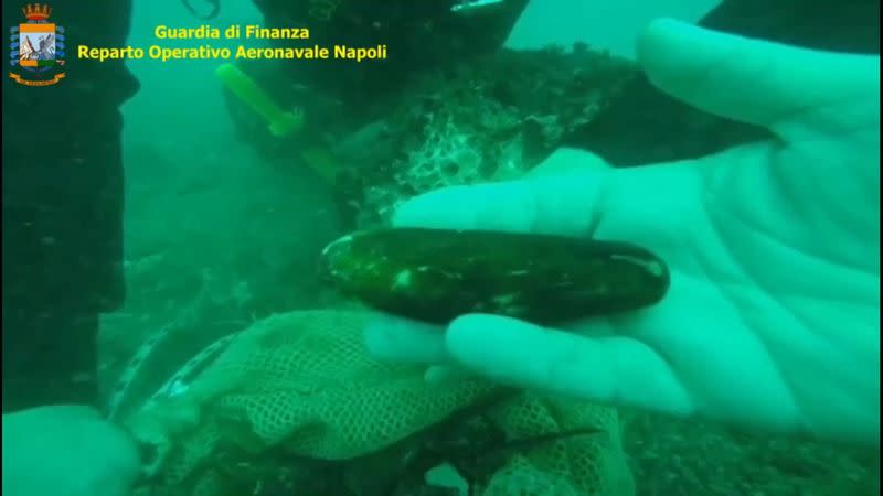 Capri’s coastline damaged by illegal fishing of endangered mussels