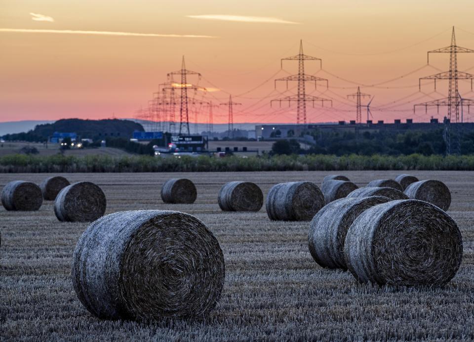 Straw bales lie on a field in Frankfurt, Germany, before sunrise on Wednesday, July 24, 2019. (AP Photo/Michael Probst)