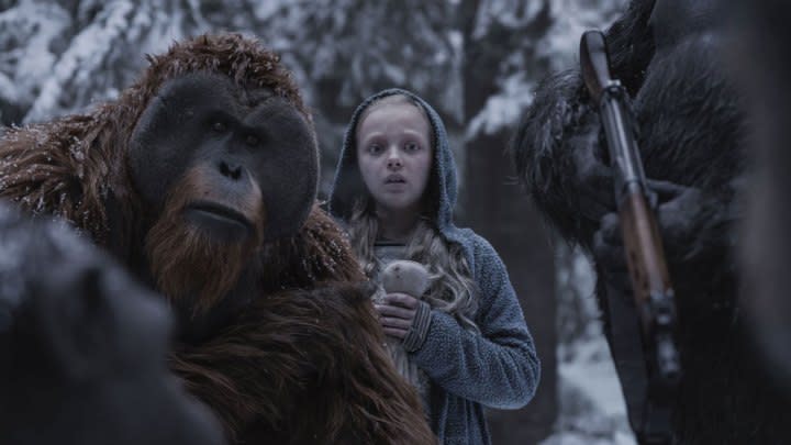 Two apes stand on the outside of a little girl in the snow.