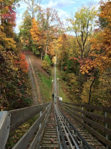 <p>Smoky Mountain Alpine Coaster</p>