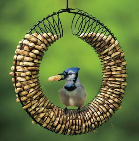 A rad slinky bird feeder