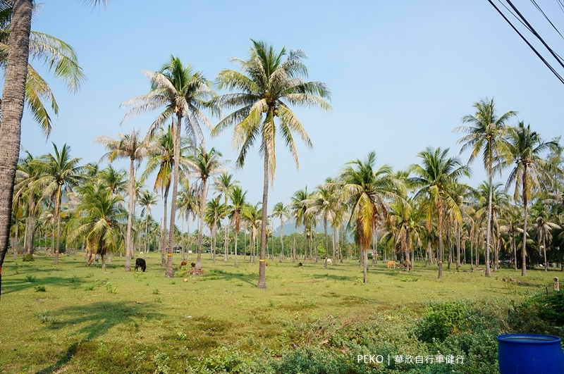 華欣景點.華欣海豚灣.Khao Kalok Beach.Hua Hin.華欣自行車.華欣腳踏車.華欣紅樹林.