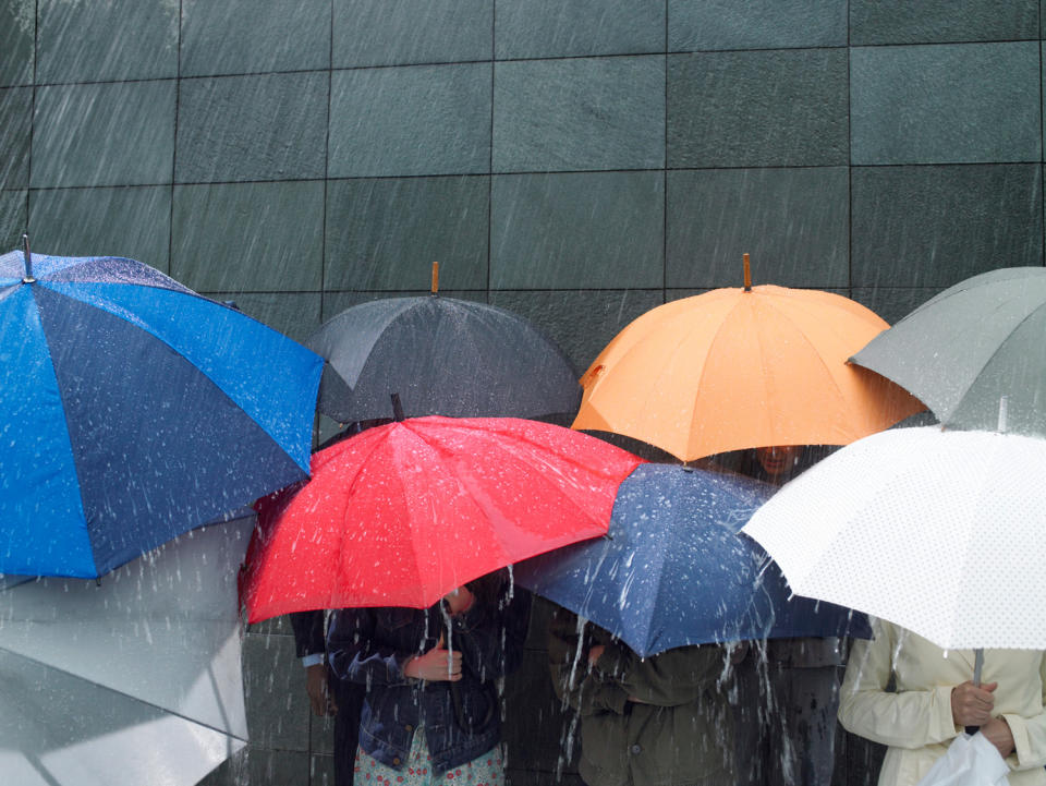 雨傘推薦｜防曬、輕巧、抗UV靚遮！17款日本/德國/英國雨傘推薦