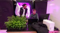 Cannabis growers get creative to ease power demands of pot