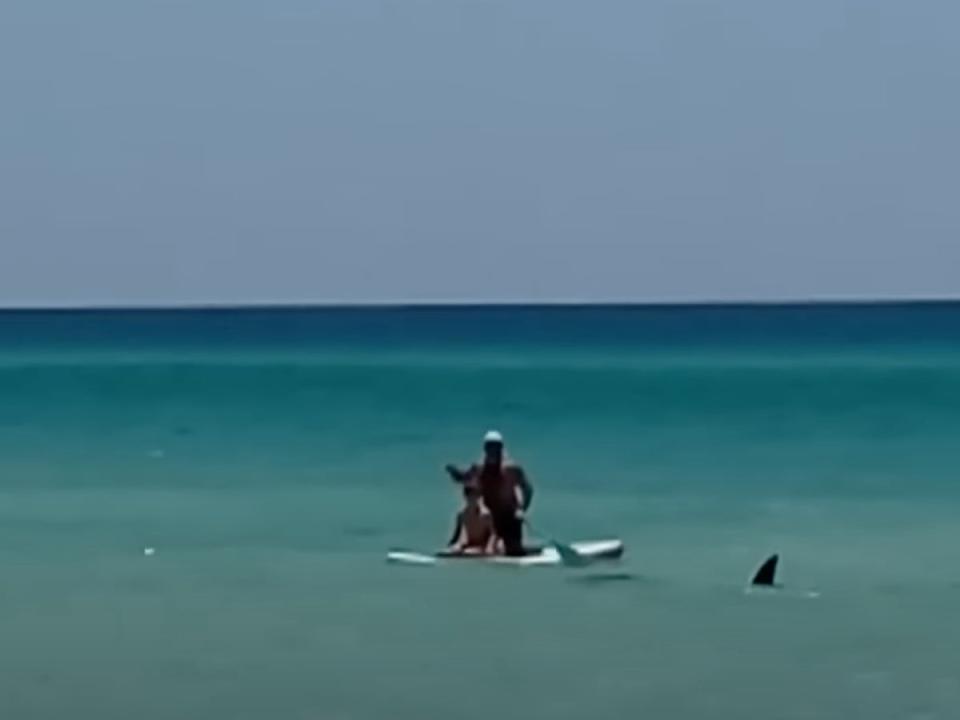 A pair of paddle boarders watch as a shark’s fin emerges from the waters off the coast of New Smyrna Beach in June 2024 (screengrab/TODAY)