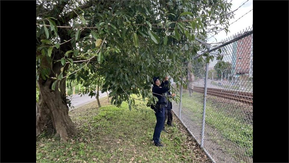 疑與男友爭吵心情不好　女爬鐵絲網闖捷運軌道