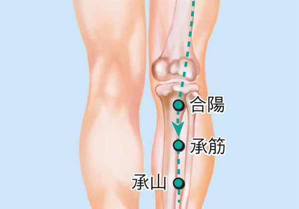 想要一甩惱人的小腿抽筋問題，善用中醫穴位療方，適度揉按乘筋、承山穴就是不錯的居家保健方式。（圖片／三采文化提供）