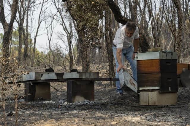 Portugal Wildfires