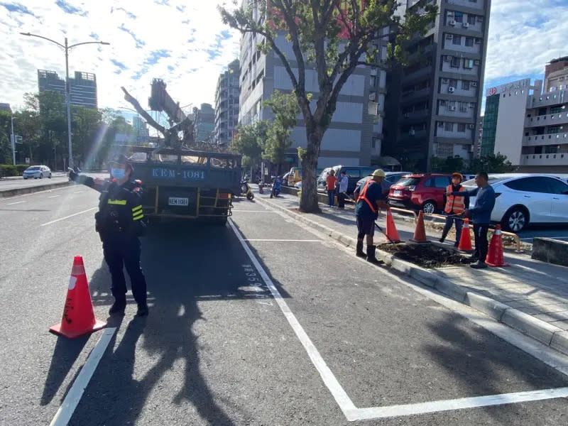 ▲高雄市區左營區華夏路今天發生路樹倒塌，壓毀停放車格内之自小客車，警方獲報後除立即趕至現場管制，工務局獲報後也立即趕赴現場處理。(圖／高市左營分局提供)