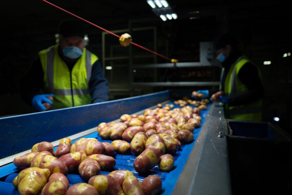 Nemo potatoes could save on roasting time (Joe Giddens/PA) (PA Wire)