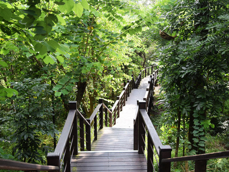 虎形山公園(圖片來源：台南市龍崎區公所)