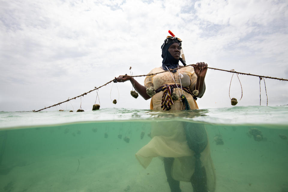 Nasir Hassan Haji holds a rope of sponges on her farm. She was one of the first 2 sponge farmers in Jambiani and previously farmed seaweed for 10 years. (Photo: Jennifer Adler)