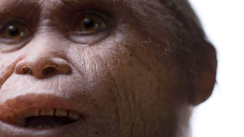 Artist’s reconstruction of Homo floresiensis.