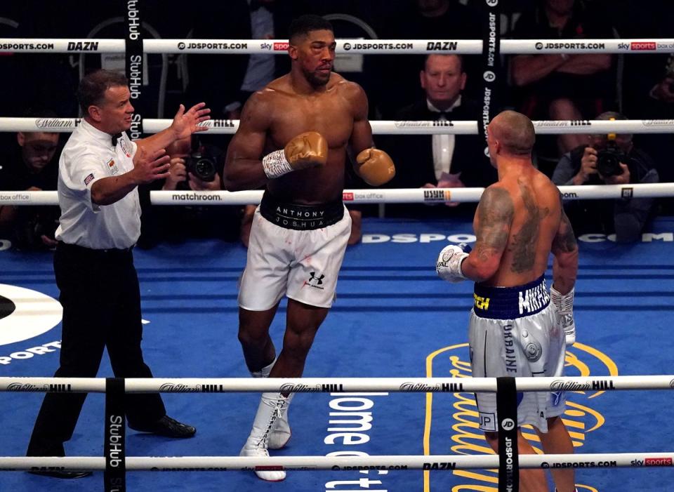 Anthony Joshua (left) and Oleksandr Uysk will do battle again on Saturday (Nick Potts/PA) (PA Archive)