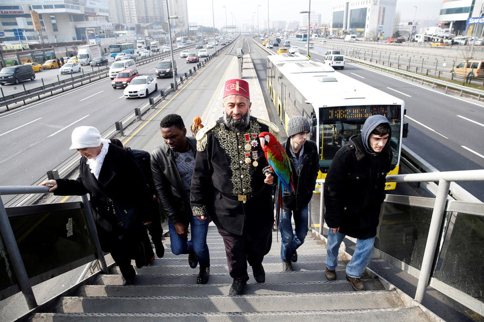 Making Life with a parrot in Istanbul