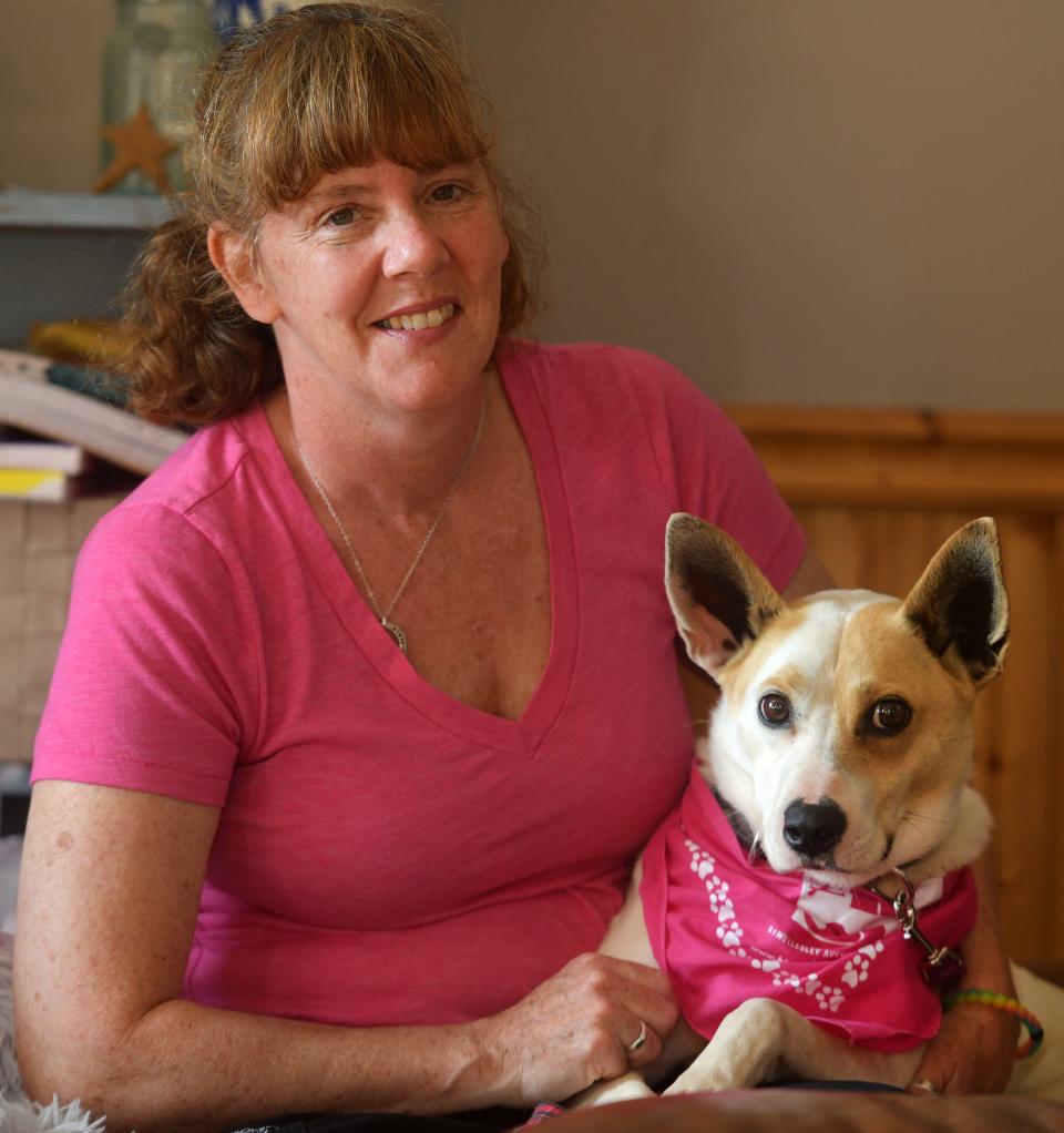 MILLBURY - Five years ago, Bay, a rescue Basenji, escaped from a Framingham home. She was found and trapped in Needham this week she was reunited with her owner, Renee Perry.  