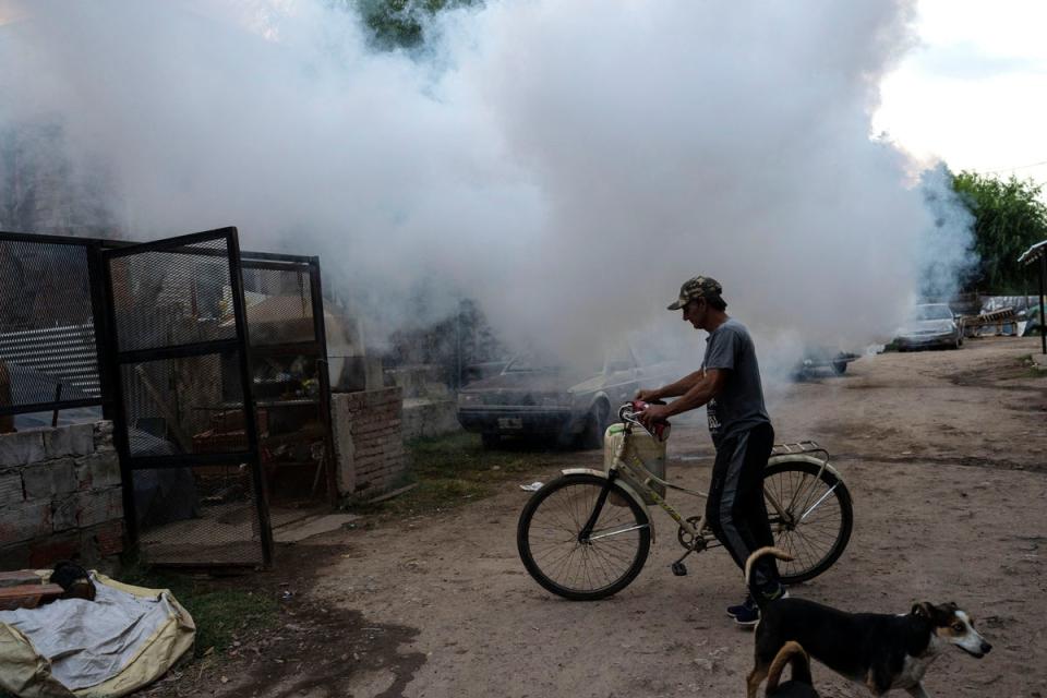 Un hombre camina con su bicicleta entre nubes de insecticida durante una campaña de fumigación para contener el dengue en Argentina (AP)