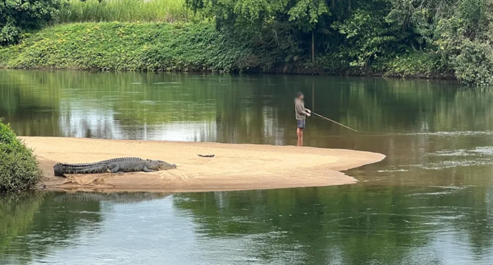The fisherman can be seen metres away from the crocodile. 