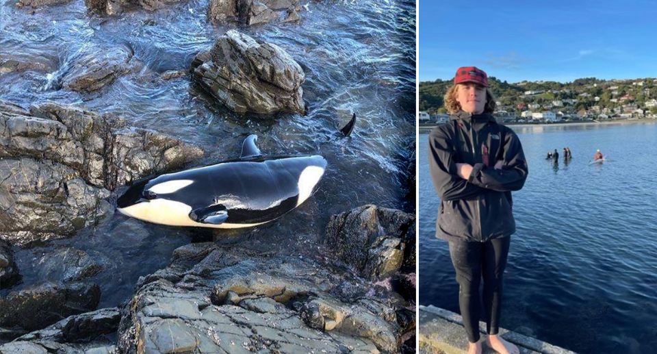 Ben Norris (right) jumped into the water after seeing Toa (left) stranded on rocks. Source: Ben Norris / Brianna Norris. 