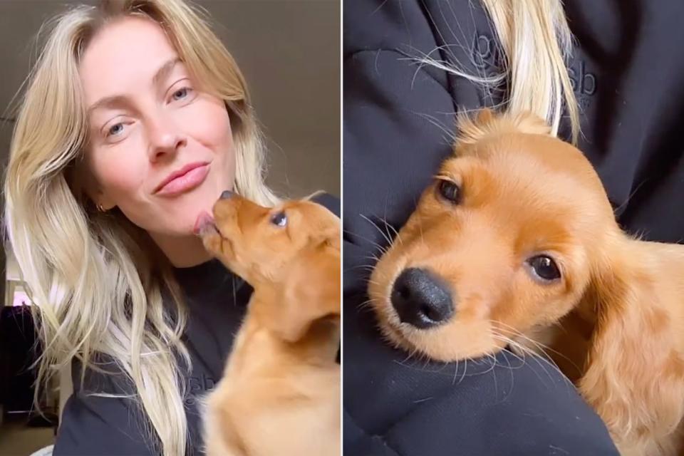 <p>Julianne Hough/ Instagram</p> Julianne Hough introduced her new puppy Sunny to the world via Instagram on Sept. 21.