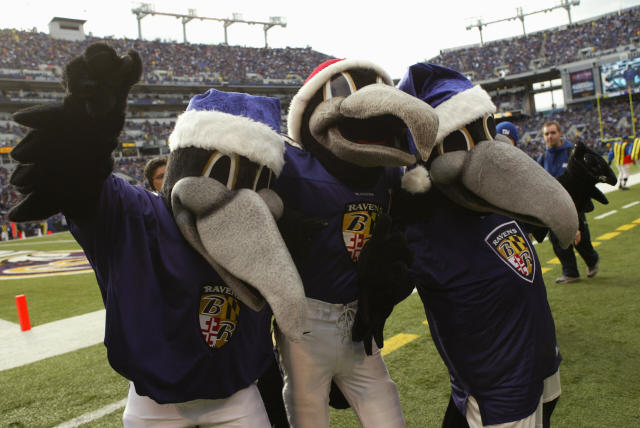 Ravens mascot injured in halftime football game